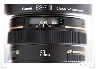 백마로 찍은 50mm 렌즈 사진